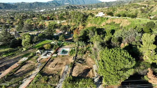 a view of a lush green forest with mountains in the background