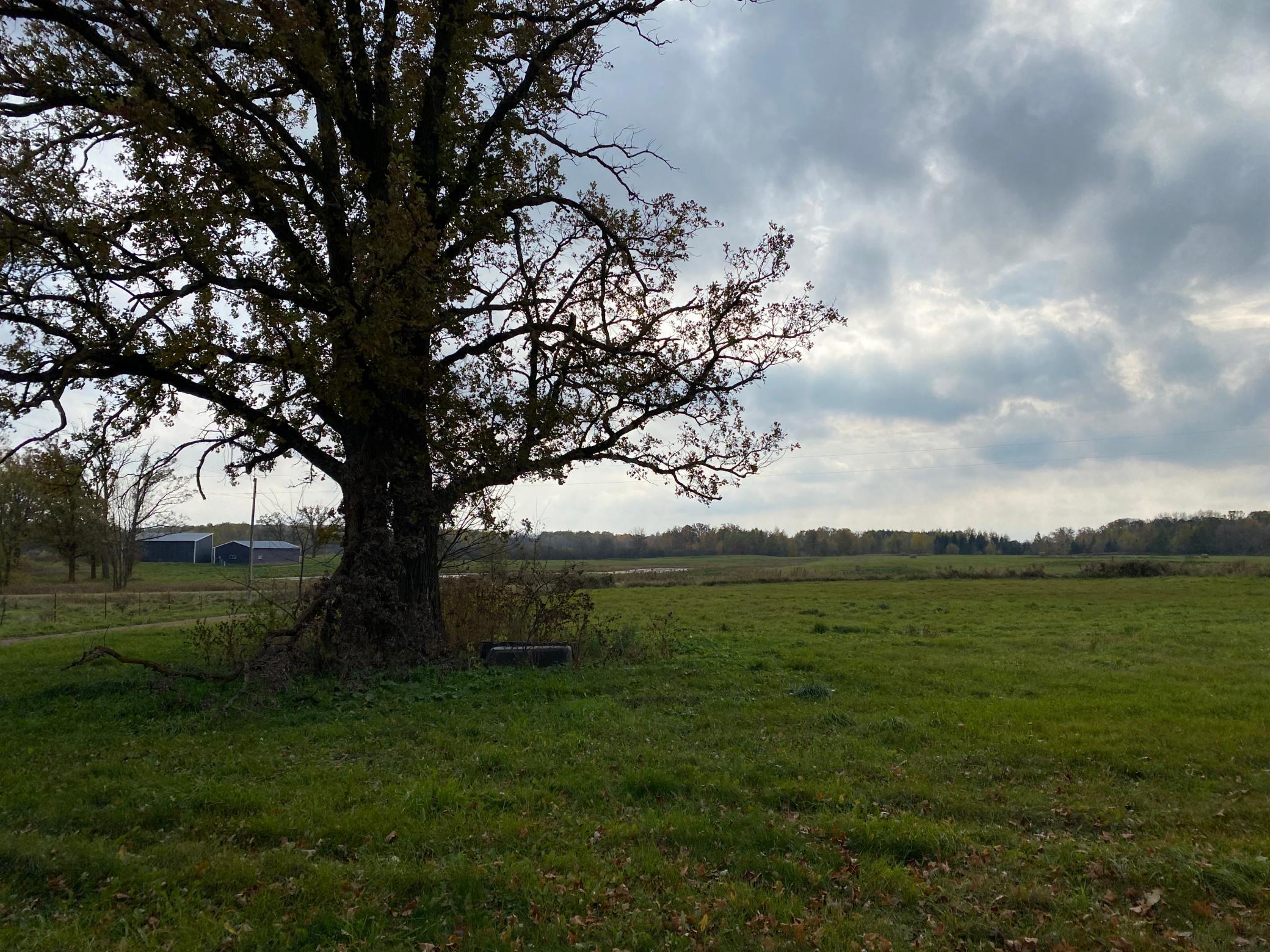 5336 130th Street Milaca, MN 56353 - Photo 7 of 19