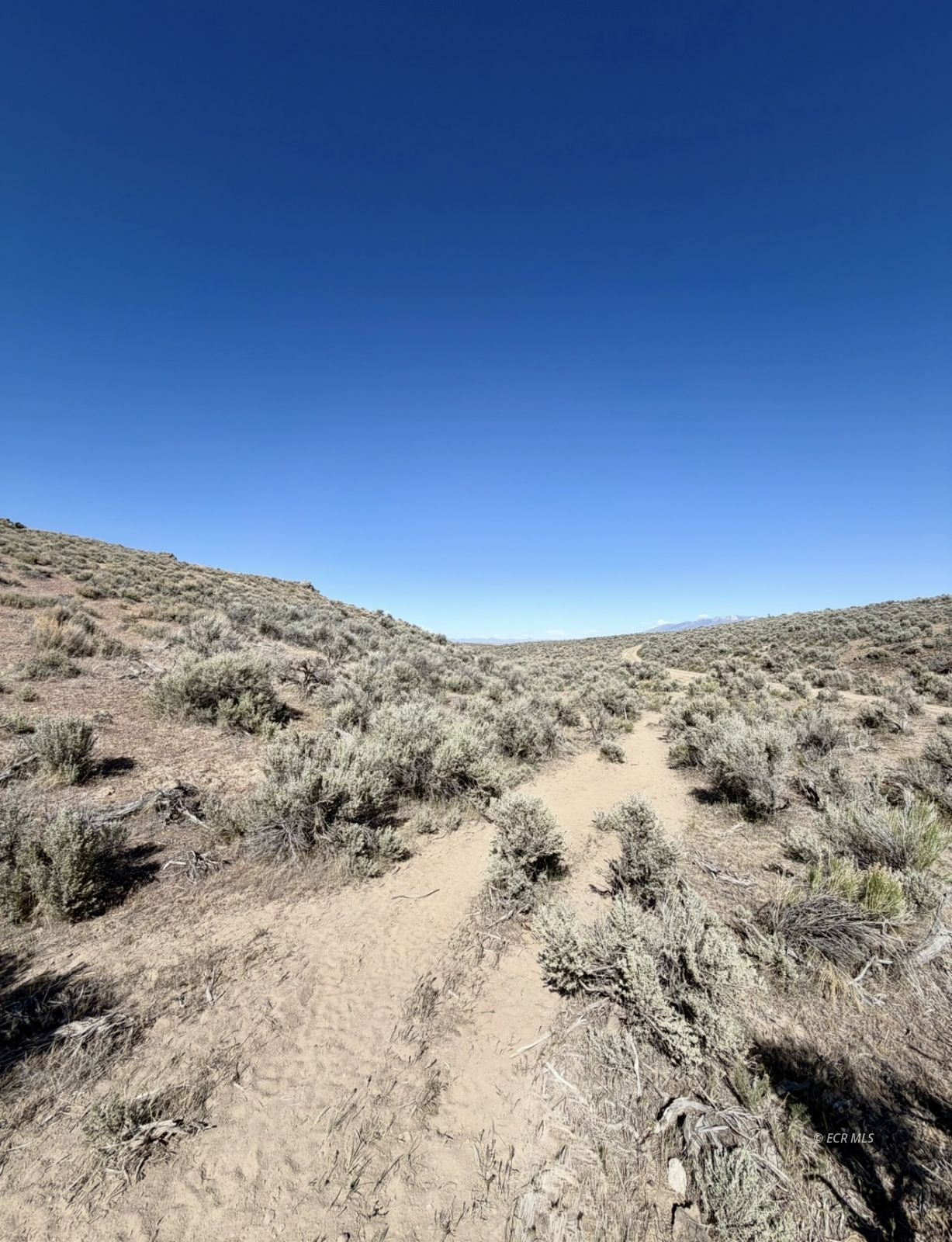 29 Twp 37n Rge 58e Mdb&m Deeth, NV 89823 - Photo 2 of 9
