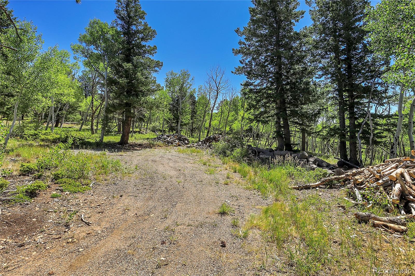 4 Hughesville Road Black Hawk, CO 80422 - Photo 25 of 29 a view of a yard with a tree