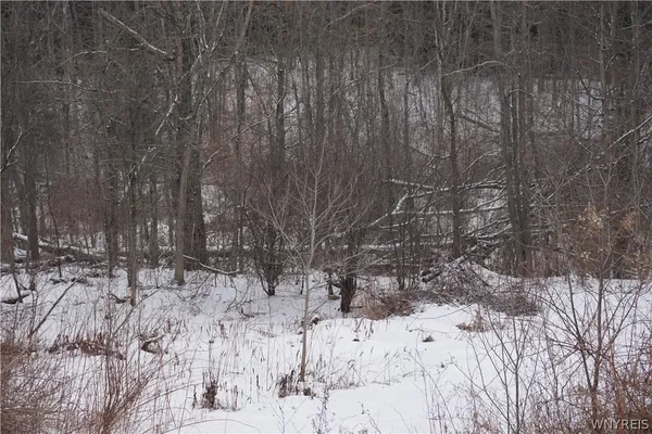 $169,900 | 9093 County Road, Canaseraga, NY 14822