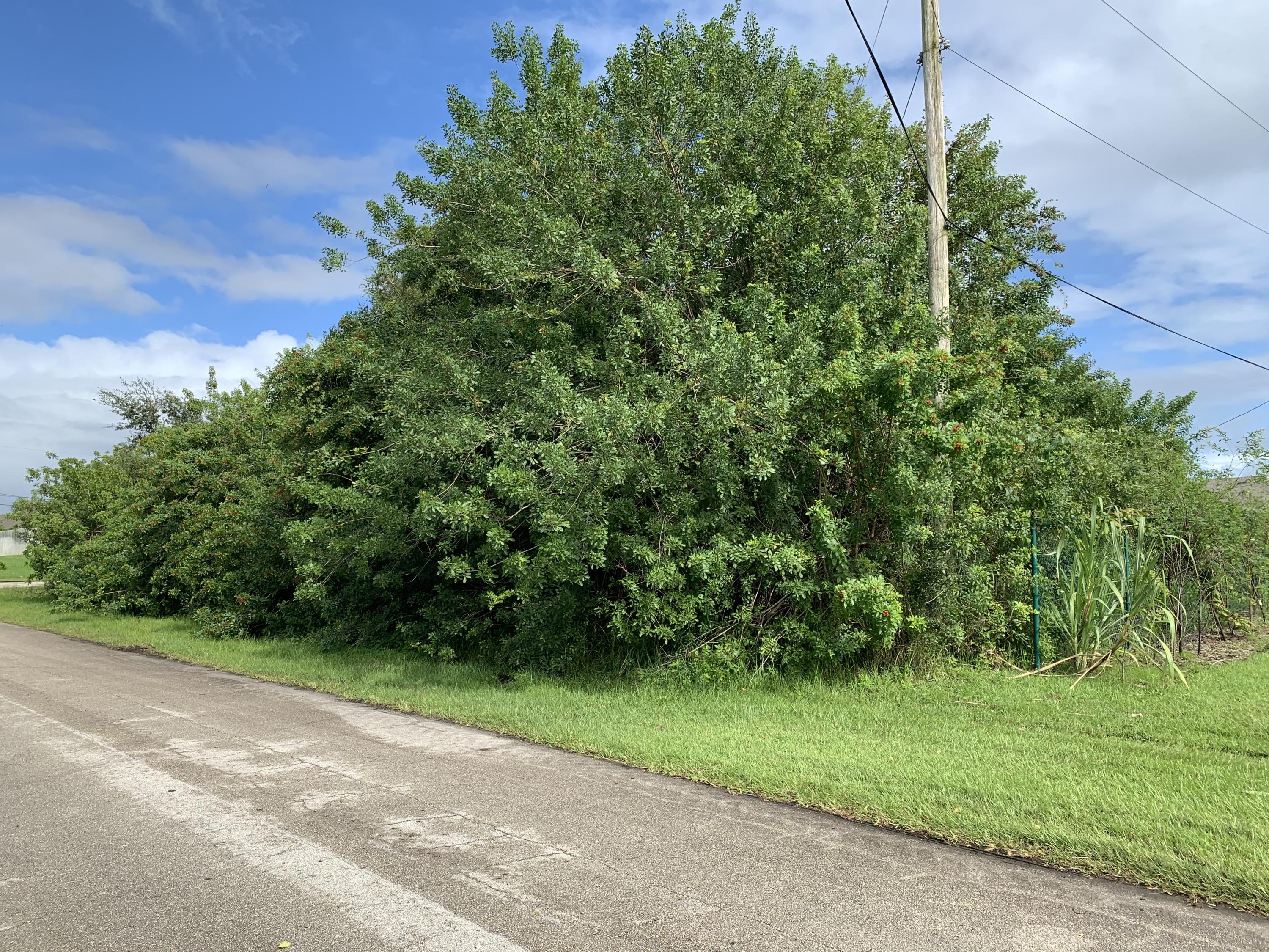 4531 Southwest Paley Road Port St. Lucie, FL 34953 - Photo 3 of 5 IMG-5209 (1)