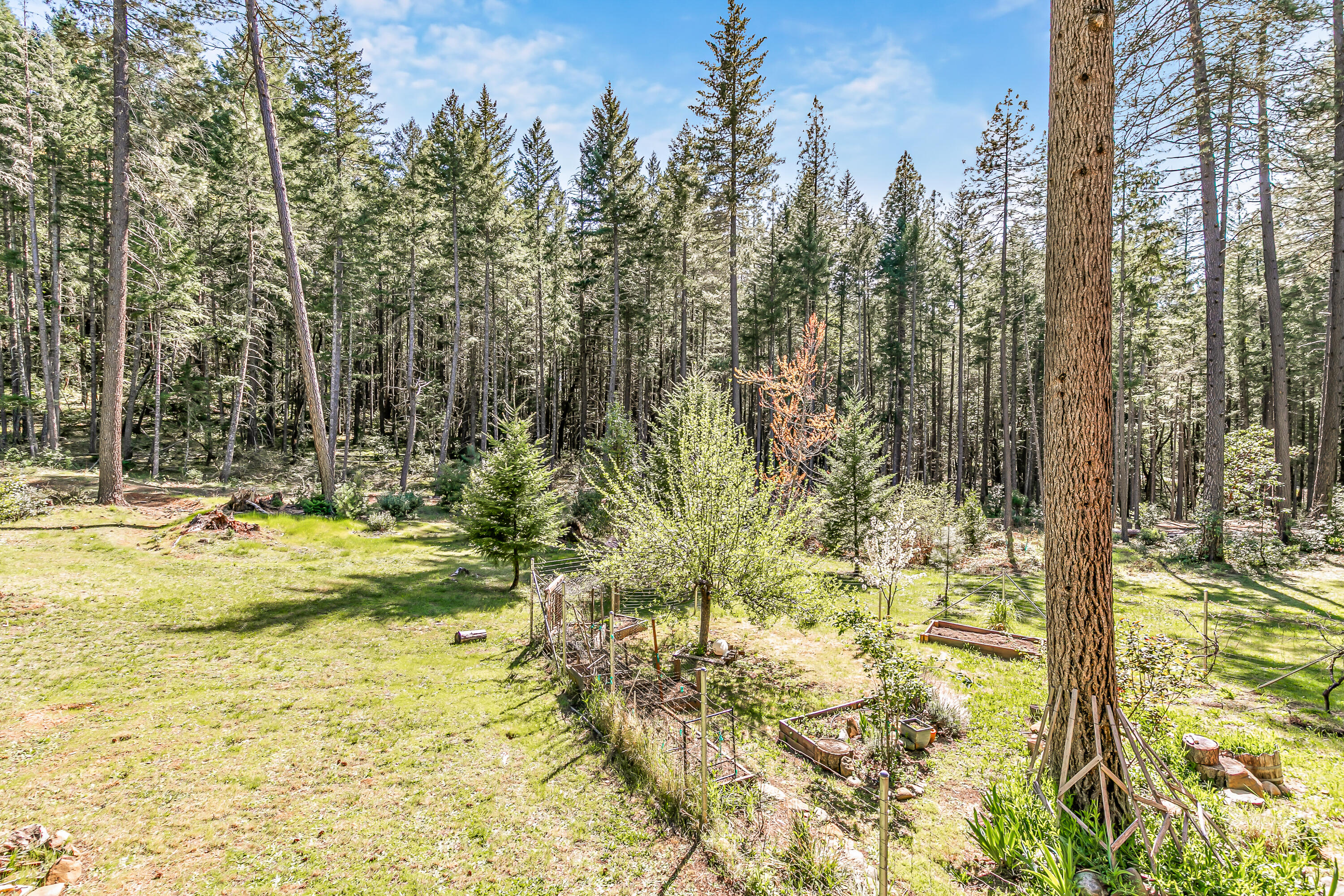 707 McMullen Creek Road Selma, OR 97538 - Photo 40 of 55
