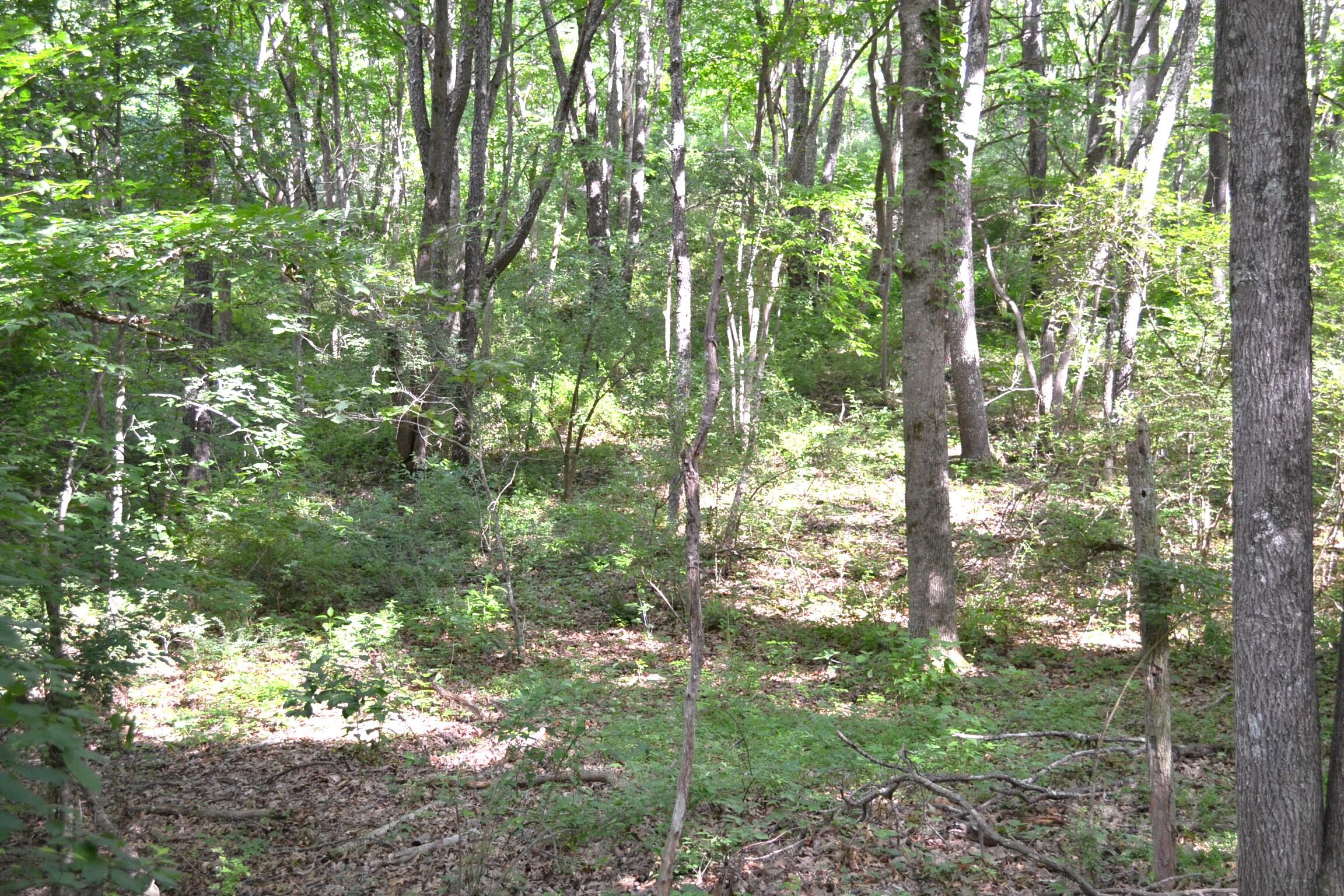 1546 Wilson Mill Road Peterstown, WV 24963 - Photo 16 of 35 Gallery Image 16
