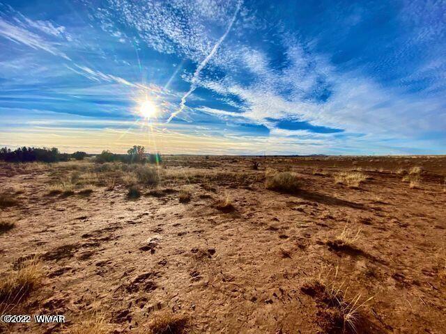 7570 Maple Street Snowflake, AZ 85937 - Photo 5 of 5