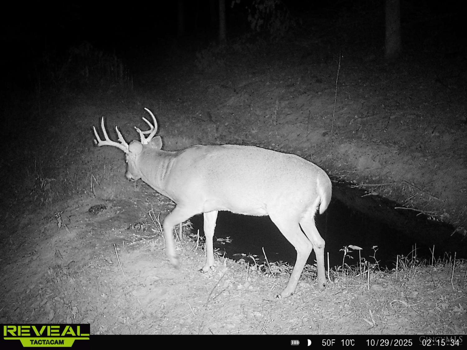 Ac Beech Fork Road Peebles, OH 45660 - Photo 31 of 49