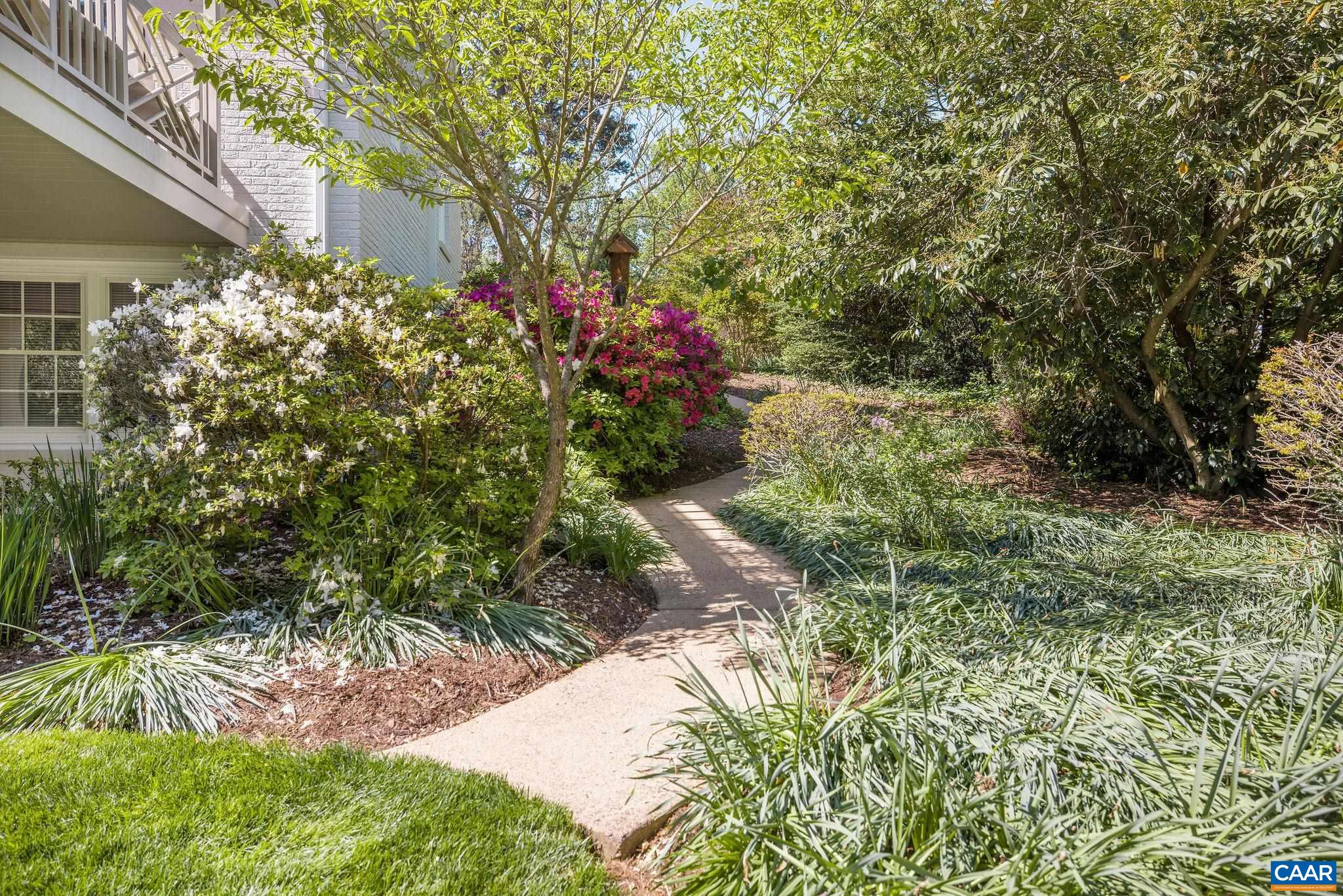 2001 Hessian Road Charlottesville, VA 22903 - Photo 45 of 47 a view of a yard with plants and large trees