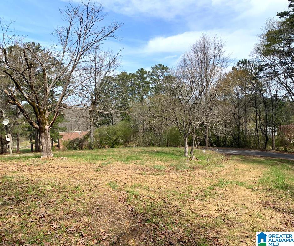 48-126 Hoot Owl Hollow Road, Unit 48 & 126 Ohatchee, AL 36271 - Photo 7 of 8