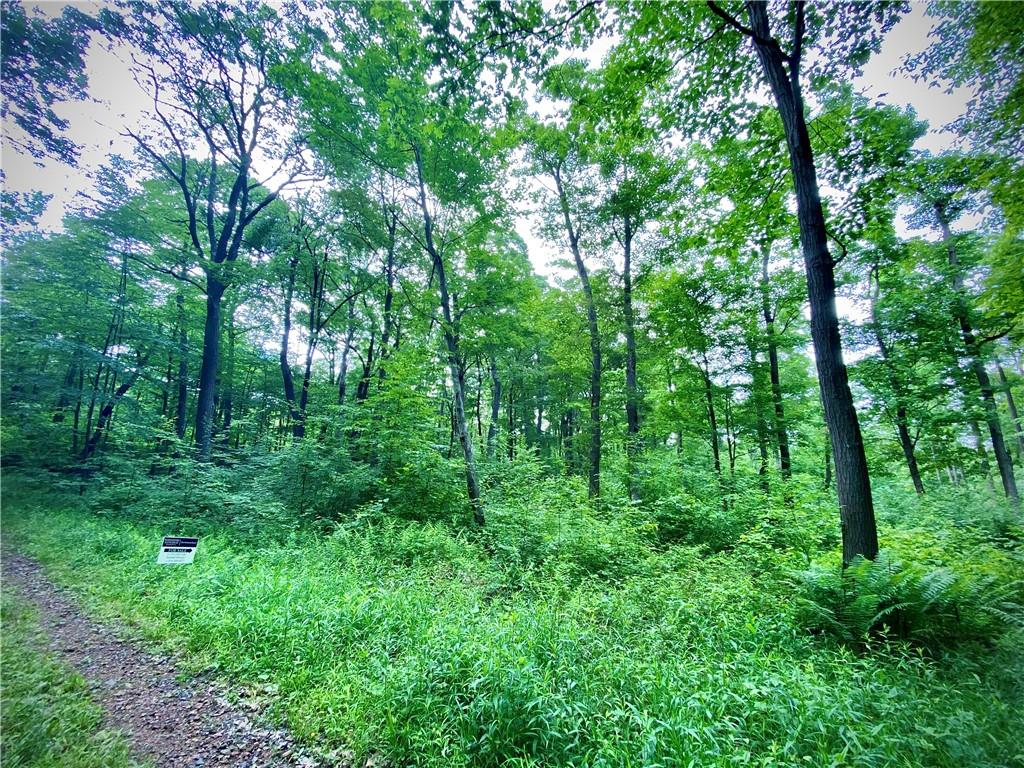 Lot 398 Sun Valley Road Boswell, PA 15531 - Photo 2 of 5 Gallery Image 2