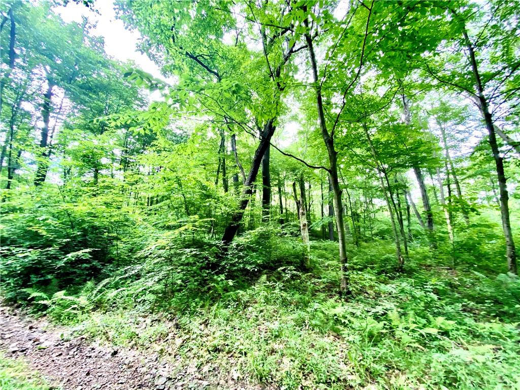 Lot 398 Sun Valley Road Boswell, PA 15531 - Photo 3 of 5 Gallery Image 3