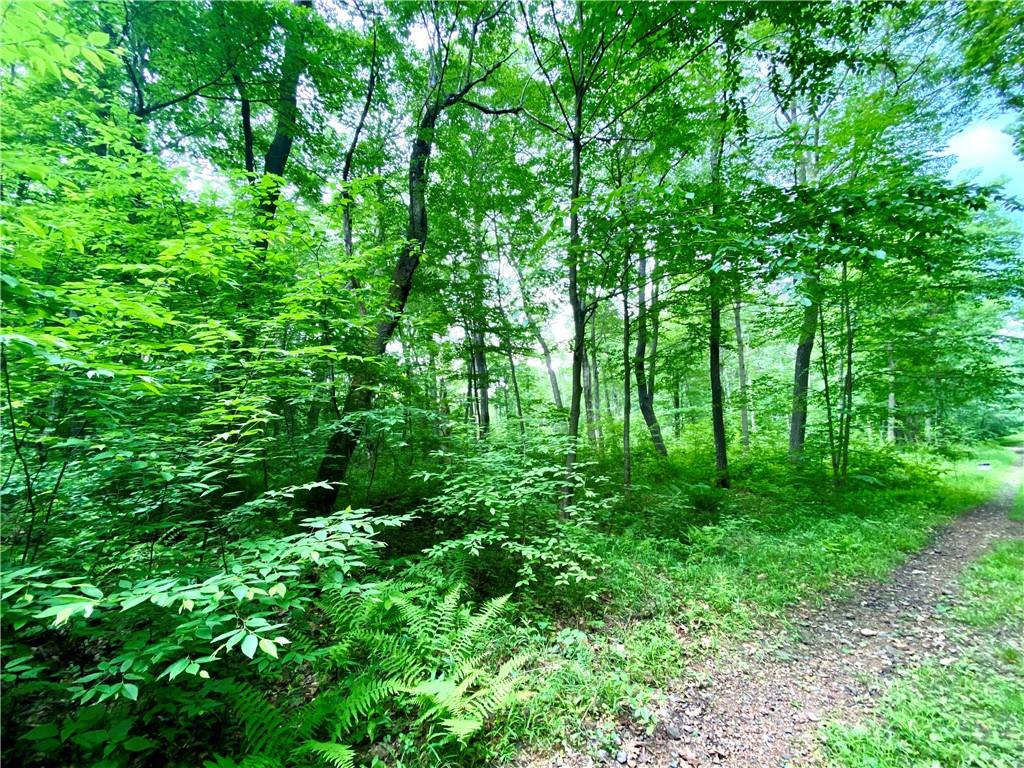 Lot 398 Sun Valley Road Boswell, PA 15531 - Photo 4 of 5 Gallery Image 4
