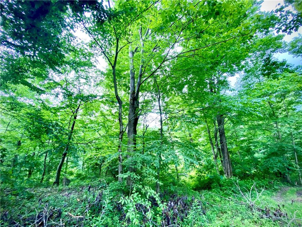 Lot 398 Sun Valley Road Boswell, PA 15531 - Photo 5 of 5 Gallery Image 5