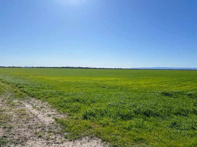 0 County Road 30 Davis, CA 95618 - Photo 3 of 7