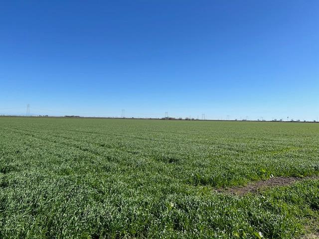 0 County Road 30 Davis, CA 95618 - Photo 5 of 7