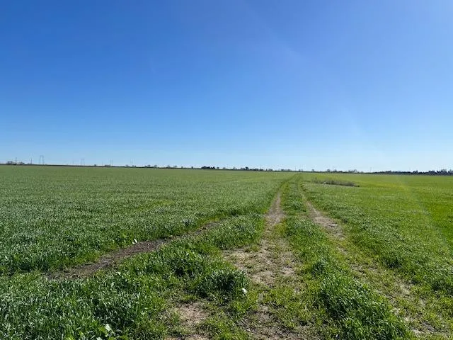 $2,295,000 | 0 County Road 30, Davis, CA 95618