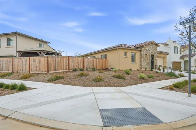 a view of a park with large trees