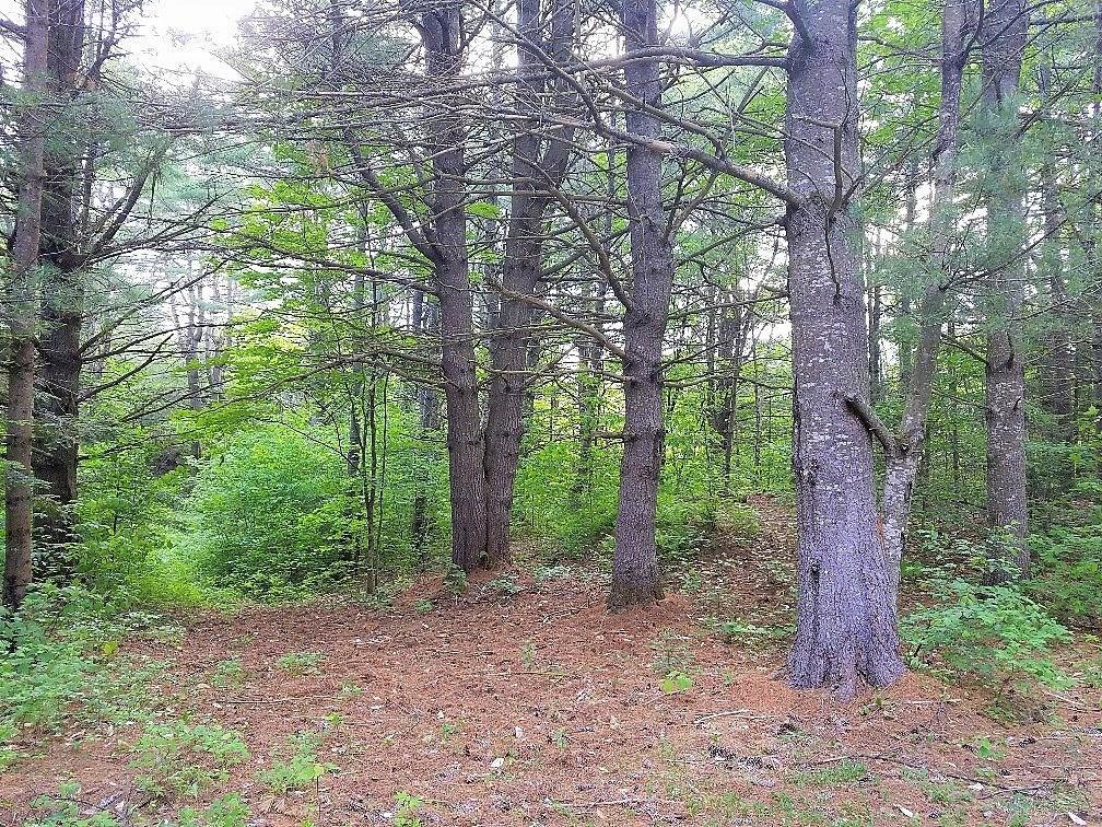 Tbd Horseback Road North Anson, ME 04958 - Photo 14 of 17 Photo