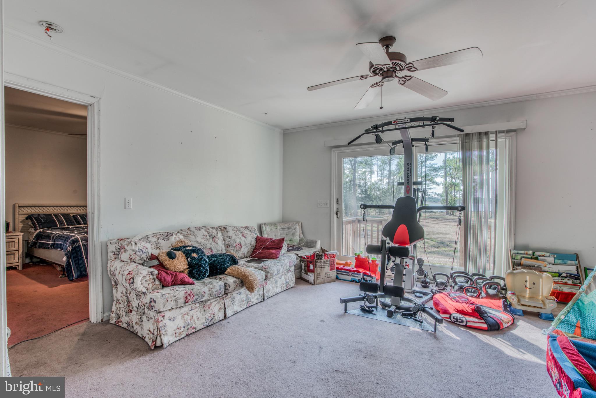 5448 Cassons Neck Road Cambridge, MD 21613 - Photo 61 of 65 Gallery Image 61