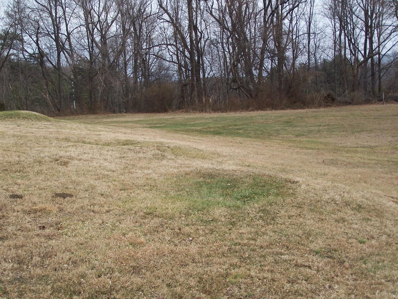 466 Bryant Road Roanoke, VA 24019 - Photo 2 of 8 Exterior