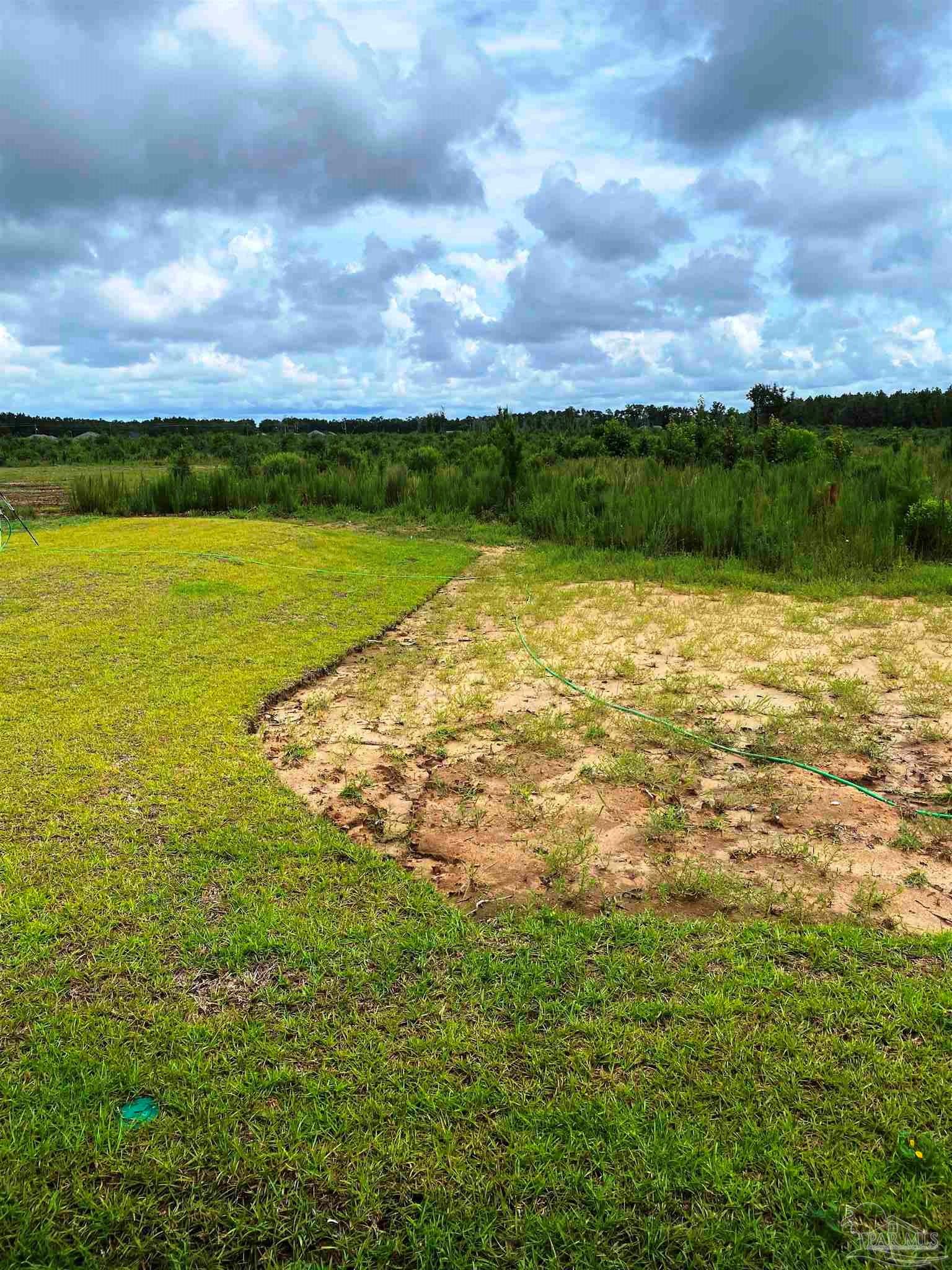 5266 South A Jones Road Milton, FL 32583 - Photo 33 of 34 Here's a view looking over the rear of property.