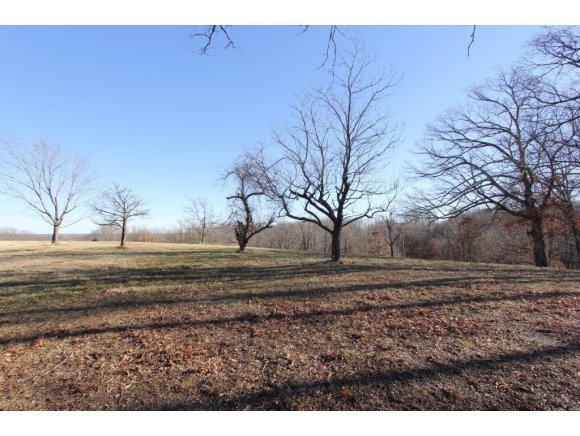 Lot 41 Newbury Reeds Spring, MO 65737 - Photo 1 of 1 Primary Photo