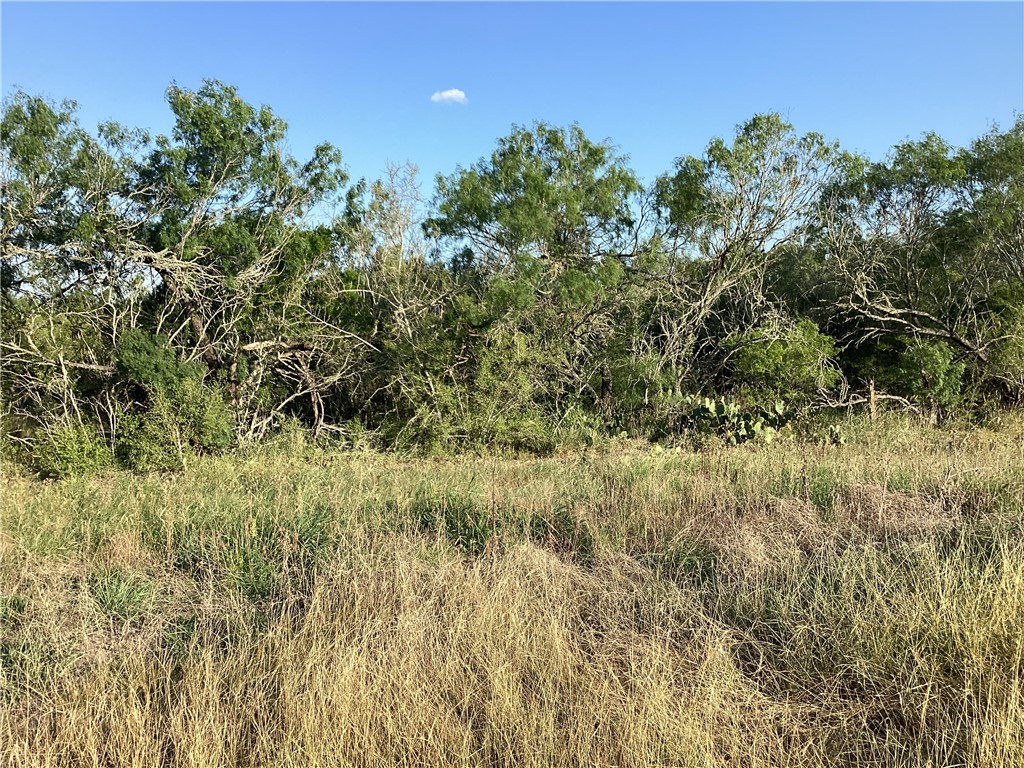 190 Santos Road Realitos, TX 78376 - Photo 2 of 8 a view of a lush green space