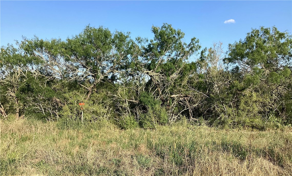 190 Santos Road Realitos, TX 78376 - Photo 4 of 8 a view of a lush green space