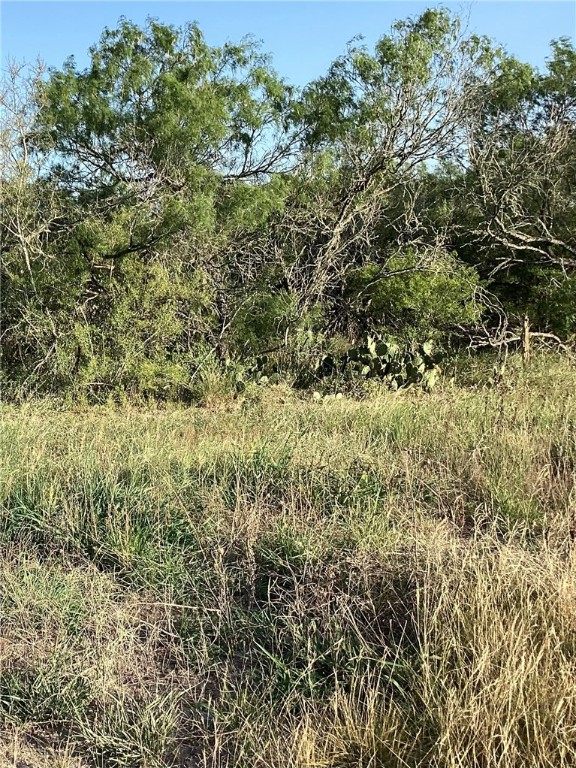 190 Santos Road Realitos, TX 78376 - Photo 5 of 8 a view of a yard