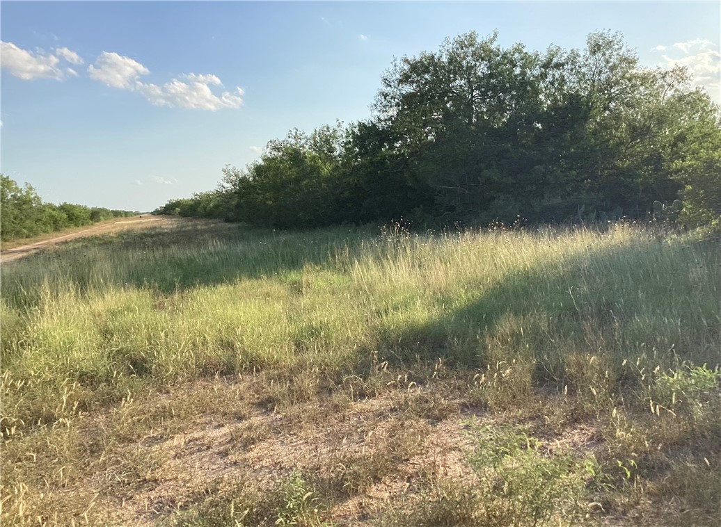 190 Santos Road Realitos, TX 78376 - Photo 6 of 8