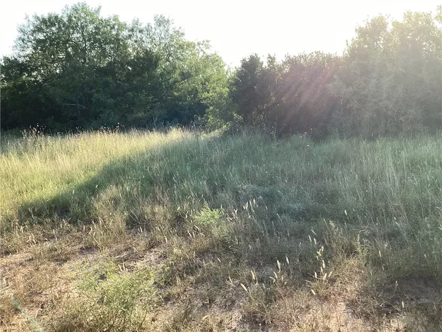 a view of a lake with a yard and large trees