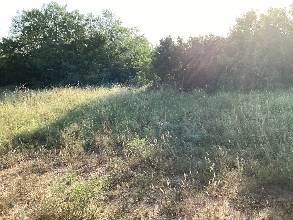 190 Santos Road Realitos, TX 78376 - Photo 7 of 8 a view of a lake