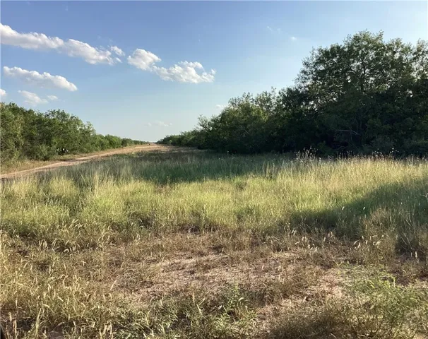 $404,485 | 190 Santos Road, Realitos, TX 78376