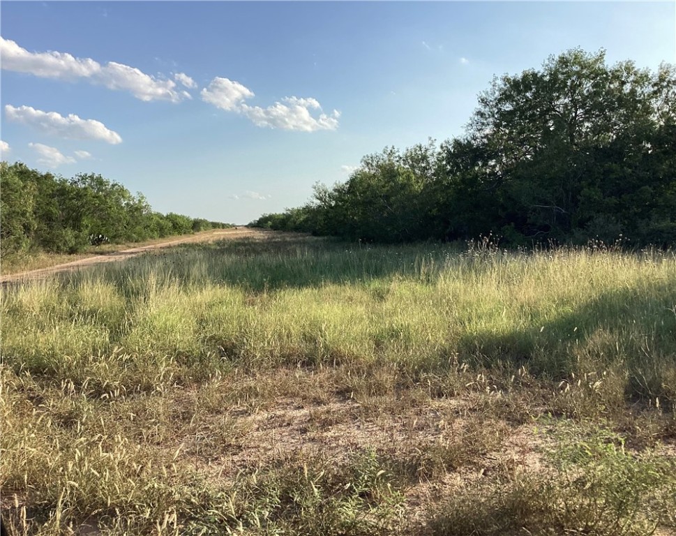 190 Santos Road Realitos, TX 78376 - Photo 8 of 8 a view of a lake with a yard and large trees