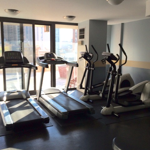 33 West Delaware Place, Unit 12F Chicago, IL 60610 - Photo 12 of 13