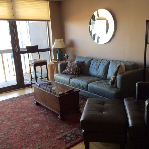 33 West Delaware Place, Unit 12F Chicago, IL 60610 - Photo 6 of 13