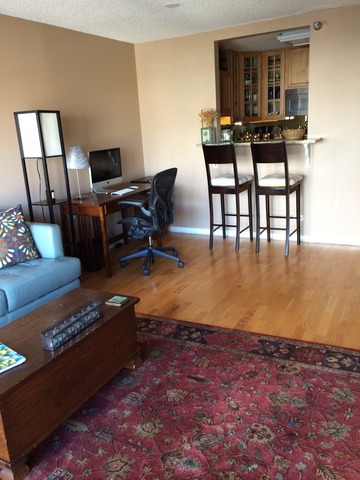 33 West Delaware Place, Unit 12F Chicago, IL 60610 - Photo 8 of 13