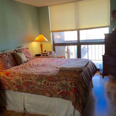 33 West Delaware Place, Unit 12F Chicago, IL 60610 - Photo 10 of 13