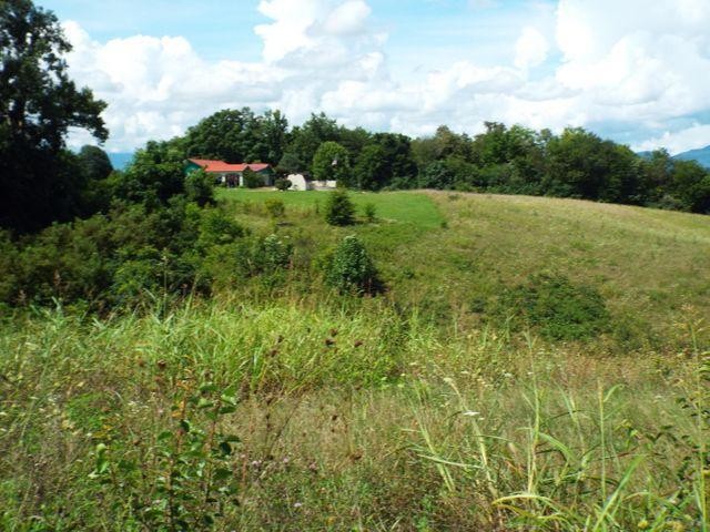 5 Farm Road Newport, TN 37821 - Photo 1 of 15