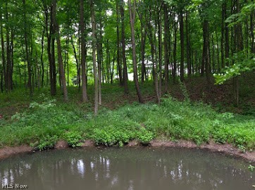 7047 Bayard Road Minerva, OH 44657 - Photo 17 of 20 Gallery Image 17