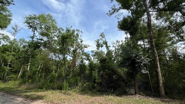 Southwest Bumble Street Fort White, FL 32038 - Photo 2 of 15 a view of a yard