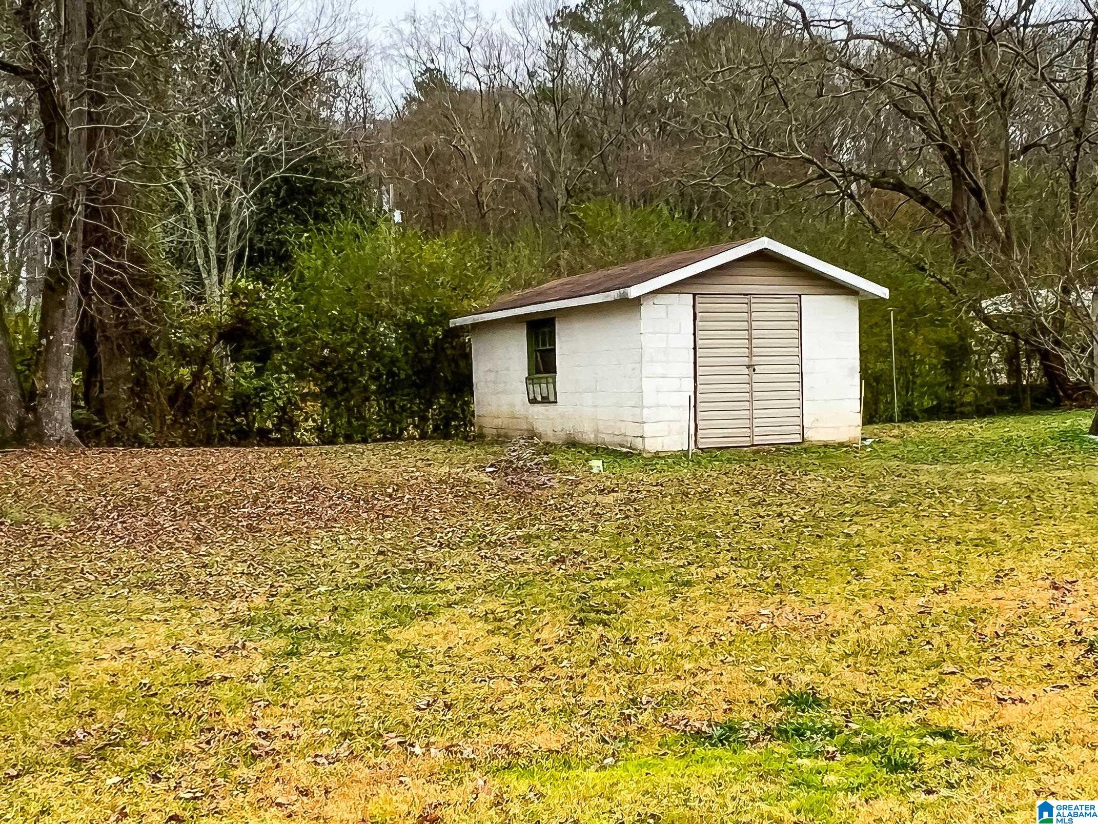 204 Bynum Cutoff Road Eastaboga, AL 36260 - Photo 5 of 23 Gallery Image 5