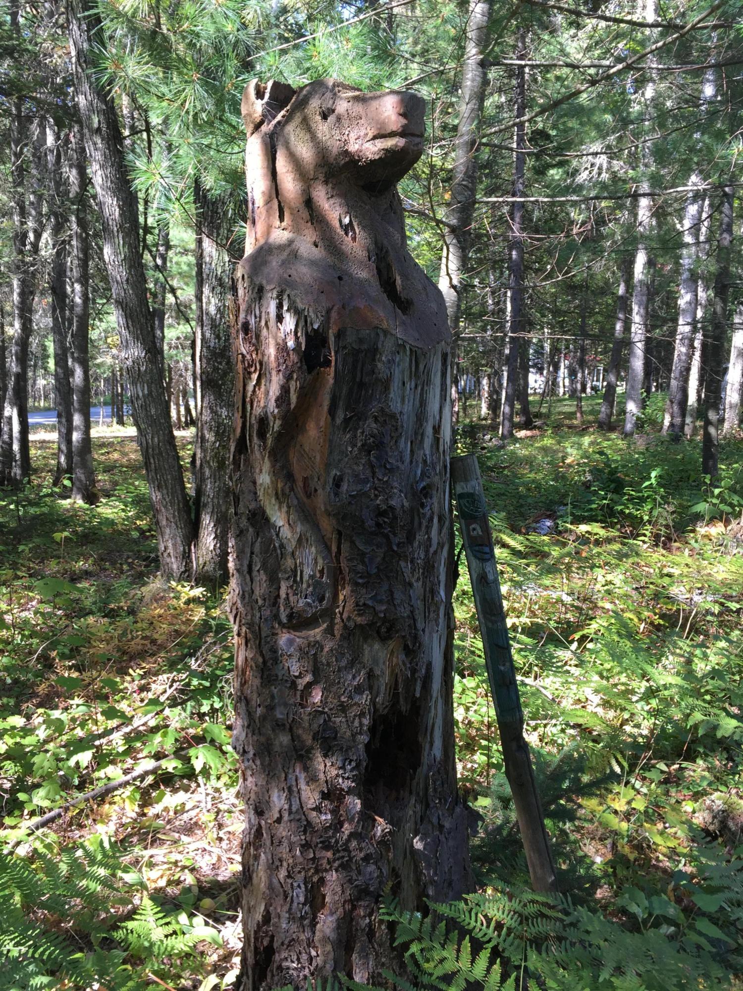 247 Quimby Pond Road Rangeley, ME 04970 - Photo 34 of 51 IMG_2117