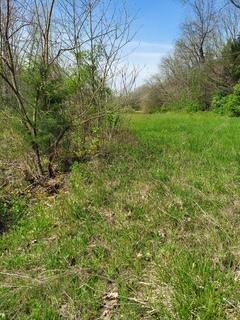 1112 Covered Bridge Road Wallingford, KY 41093 - Photo 7 of 20 6435466080140868169