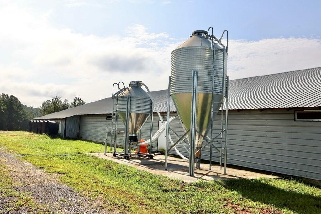 993 Sexton Road Resaca, GA 30735 - Photo 11 of 24 a view of a house with a backyard