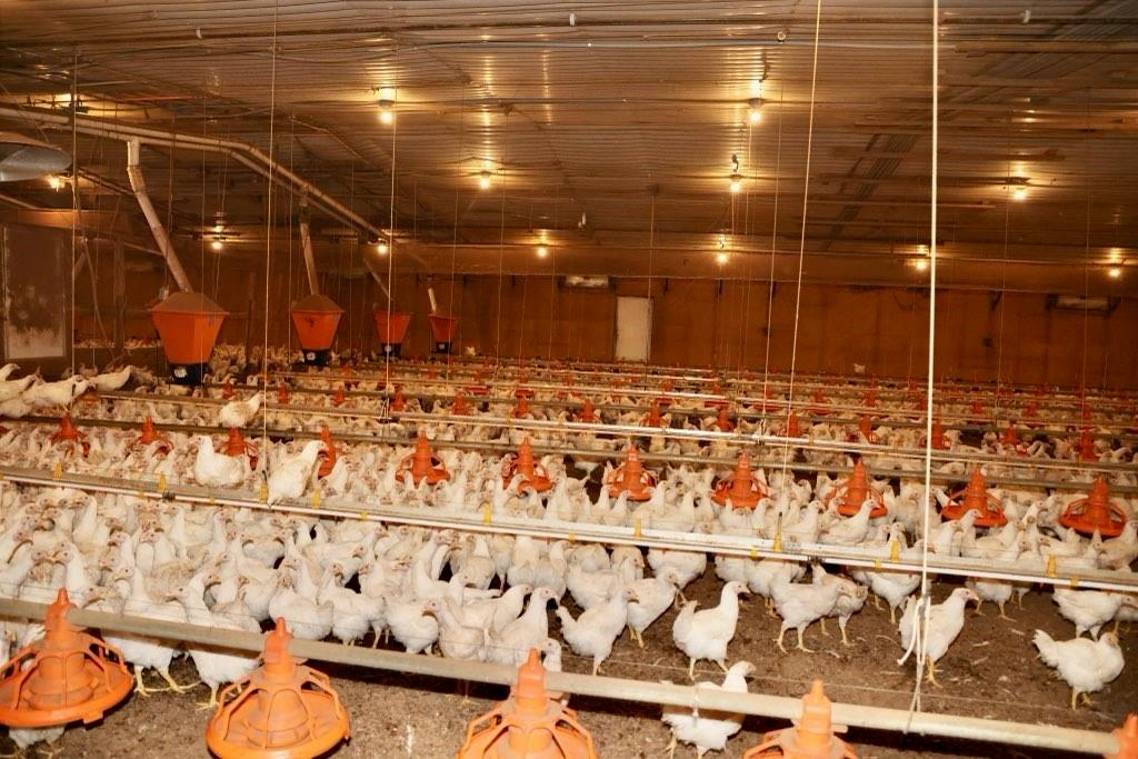 993 Sexton Road Resaca, GA 30735 - Photo 17 of 24