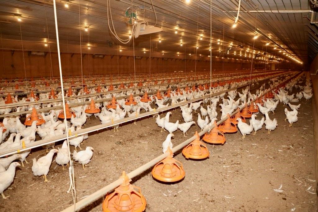 993 Sexton Road Resaca, GA 30735 - Photo 18 of 24 a bathroom with a shower
