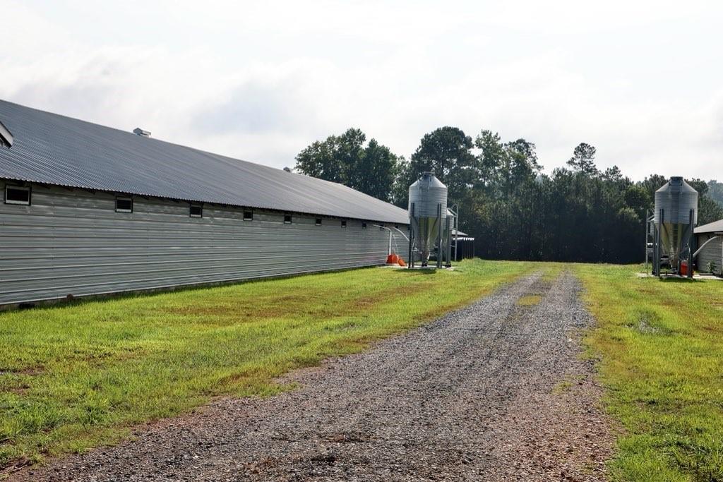 993 Sexton Road Resaca, GA 30735 - Photo 19 of 24 a view of a backyard
