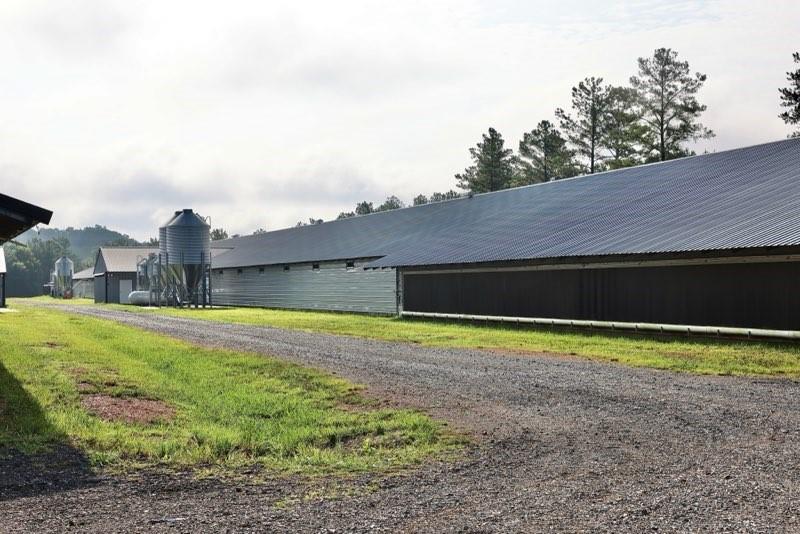 993 Sexton Road Resaca, GA 30735 - Photo 2 of 24 a view of a house with a yard and a large tree