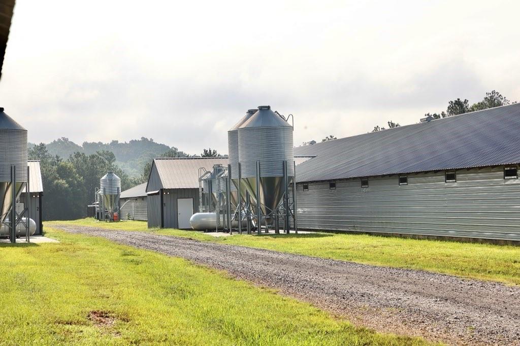 993 Sexton Road Resaca, GA 30735 - Photo 4 of 24 a view of a house with a swimming pool