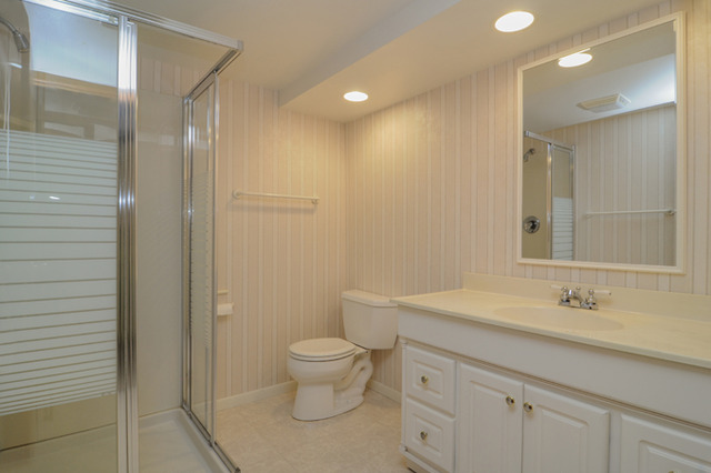 41-w393 Farview Road Elburn, IL 60119 - Photo 16 of 24 a bathroom with a sink a toilet and shower